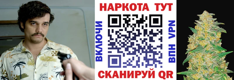 Где купить Петрозаводск СОЛЬ  КОКАИН  ГАШ  Конопля 