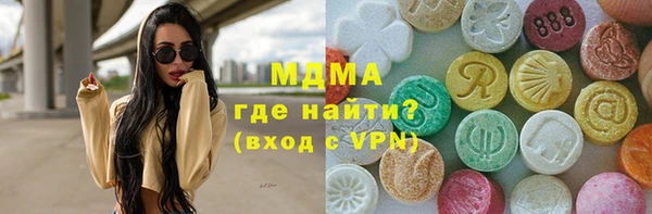 индика Лабытнанги