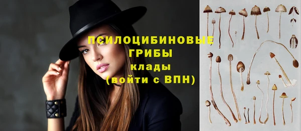 трава Кулебаки