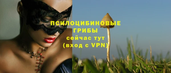 индика Лабытнанги