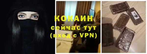 индика Лабытнанги