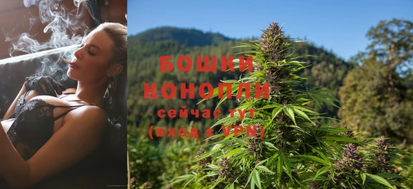 индика Лабытнанги