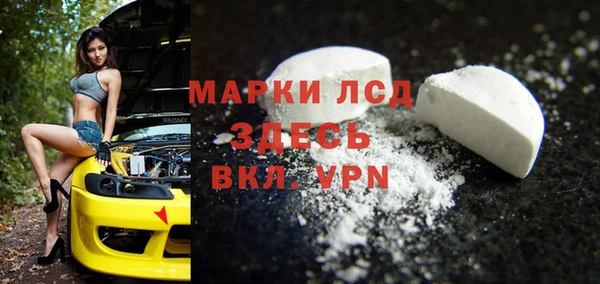 индика Лабытнанги