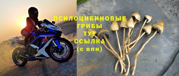 индика Лабытнанги