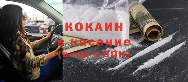 индика Лабытнанги