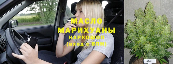 индика Лабытнанги