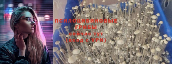 spice Ладушкин