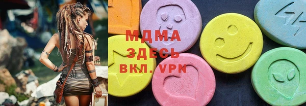 индика Лабытнанги