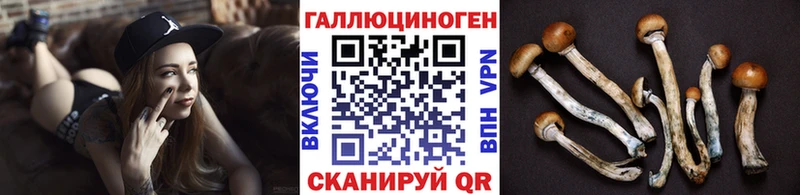 Псилоцибиновые грибы Cubensis  цены наркотик  Петрозаводск 
